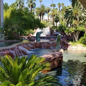 Meet your Posher, Leonidaa